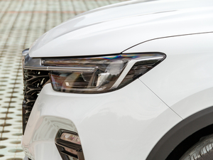 202020T Ԅ4GԽŞ ^