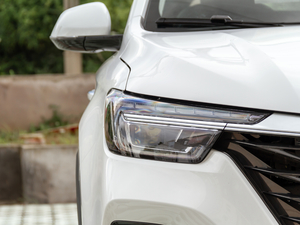 202020T Ԅ4GԽŞ ^