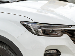 202020T Ԅ4GԽŞ ^