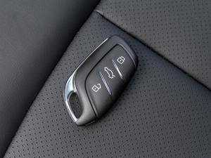 202020T Ԅ4GԽŞ ܇耳