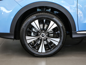 2020PLUS 300TGI ԄAliŞ ^