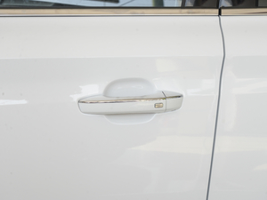 2020PLUS 300TGI քAliA {T