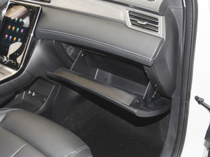 2020PLUS 300TGI քAliA 