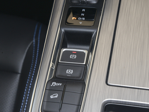 2020PLUS 300TGI քAliA v܇Ƅ