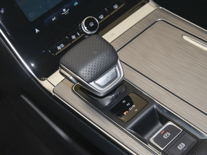 2020PLUS 300TGI քAliA QU