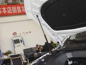 2020PLUS 300TGI քAliA 