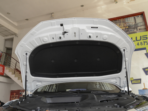 2020PLUS 300TGI քAliA 