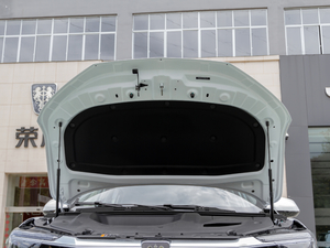 2020PLUS 300TGI Ԅ(dng)Ali(gu)A 