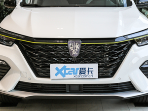 2020PLUS 300TGI Ԅ(dng)Ali(gu)s оW(wng)