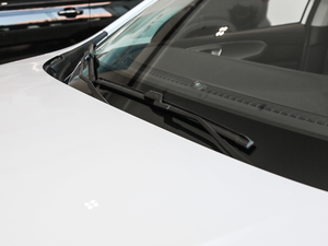 2020PLUS 300TGI ԄAlis ˢ