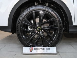 2020PLUS 300TGI Ԅ(dng)Ali(gu)s ݆Ȧ