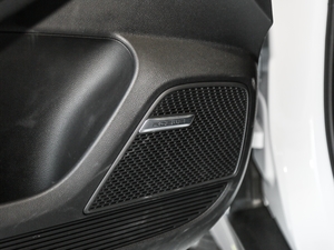 2020PLUS 300TGI ԄAlis п؅^(q)