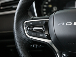 2020PLUS 300TGI ԄAlis п؅^