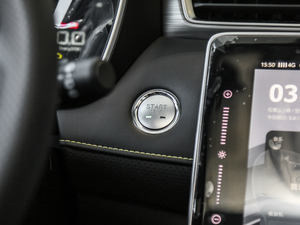 2020PLUS 300TGI ԄAlis п؅^