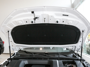 2020PLUS 300TGI ԄAlis 