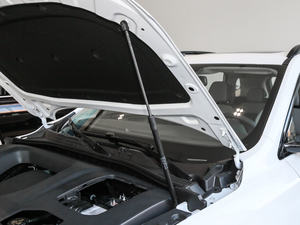 2020PLUS 300TGI ԄAlis 