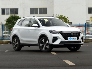 2020PLUS 300TGI ԄAliRqx w^