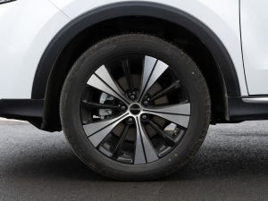 2020PLUS 300TGI ԄAliRqx ݆Ȧ