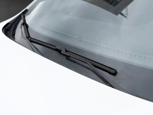 2020PLUS 300TGI ԄAliRqx ˢ