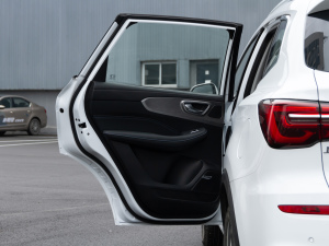 2020PLUS 300TGI ԄAliRqx ܇T