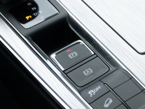 2020PLUS 300TGI ԄAliRqx v܇Ƅ