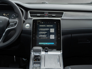 2020PLUS 300TGI ԄAliRqx п_