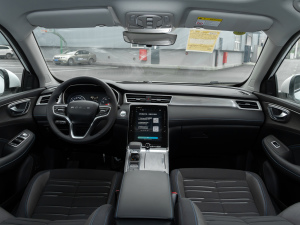 2020PLUS 300TGI ԄAliRqx (ni)ȫ