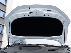 2020PLUS 300TGI ԄAliRqx 