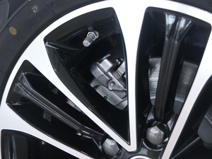 2019PLUS 50T (lin)W(wng)sҫŞ (x)(ji)^