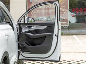 2020500PHEV 4G(lin)A g