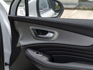 2020500PHEV 4G(lin)A g