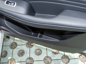 2020500PHEV 4G(lin)A g