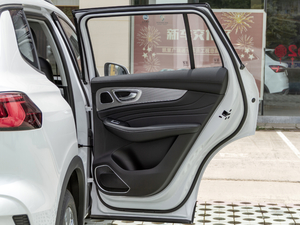 2020500PHEV 4G(lin)A g