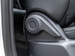 2020500PHEV 4G(lin)A g