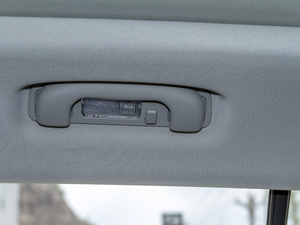 2020500PHEV 4G(lin)A g