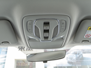 2020500PHEV 4G(lin)A g