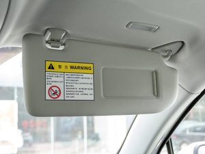 2020500PHEV 4G(lin)A g