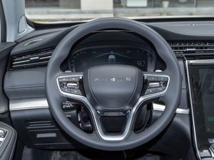 2020500PHEV 4G(lin)A P