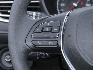 20201.5L 4G(lin)քI(lng)Ş {(dio)(ji)