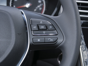 20201.5L 4G(lin)ք(dng)I(lng)Ş п؅^(q)