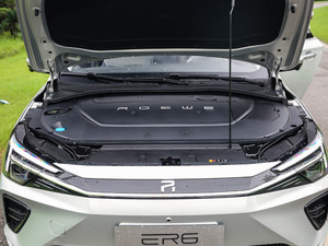 2020款620km 智尊版 其它