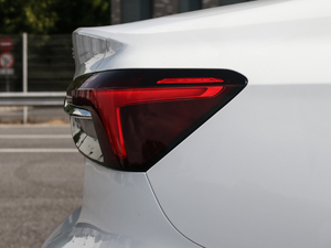 2020300TGI ԄˬĻ{Supreme ^