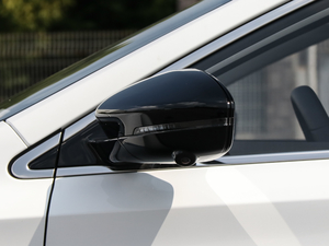 2020300TGI ԄˬĻ{Supreme ^