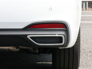 2020300TGI ԄˬĻ{Supreme ^