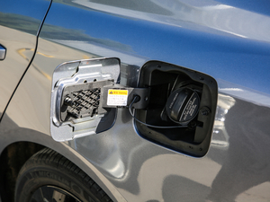 2020300TGI ԄˬĻ{Supreme w