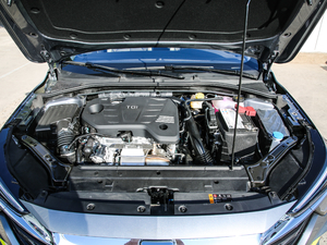 2020300TGI ԄˬĻ{Supreme 