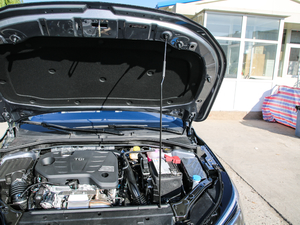 2020300TGI ԄˬĻ{Supreme 