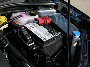 2020300TGI ԄˬĻ{Supreme 