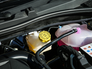 2020300TGI ԄˬĻ{Supreme 