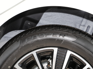 2020(lin)Ş ݆̥Ʒ